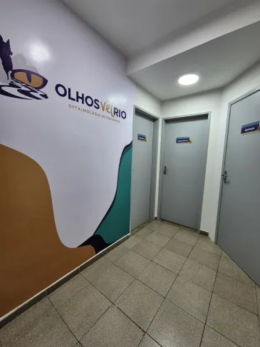 Estrutura da Olhos Vet Rio - foto 6